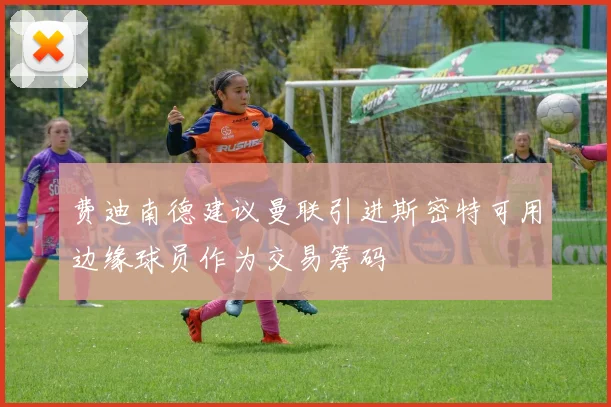 费迪南德建议曼联引进斯密特可用边缘球员作为交易筹码