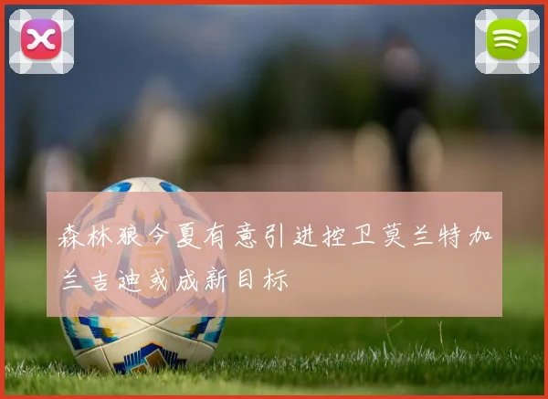 森林狼今夏有意引进控卫莫兰特加兰吉迪或成新目标